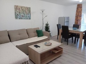Apartman Žujan